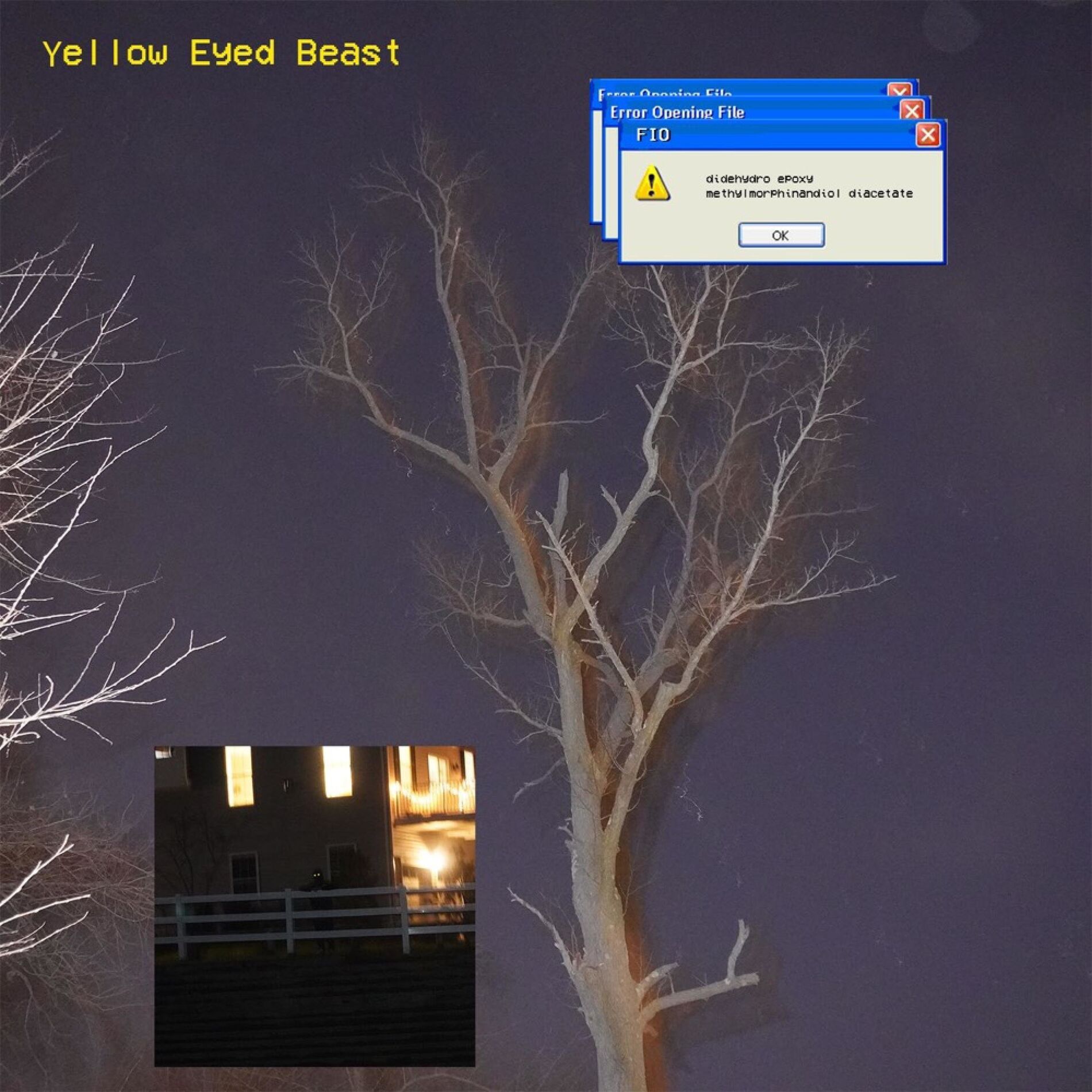 Album cover of yellow eyed beast