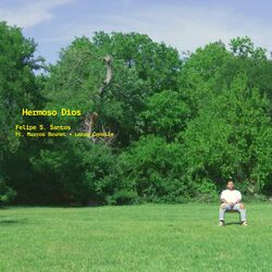 Cover of Hermoso Dios