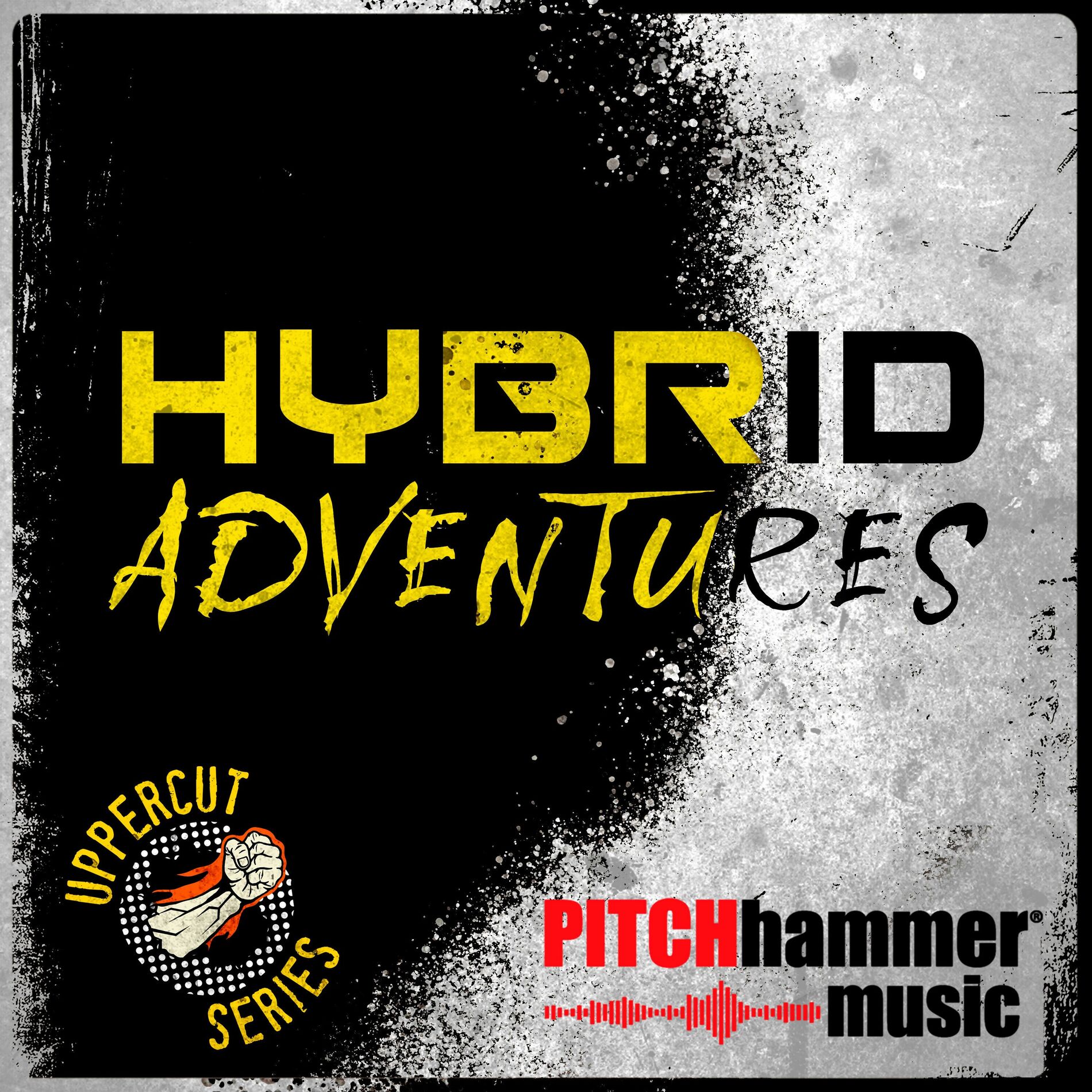 Album cover of Hybrid Adventures