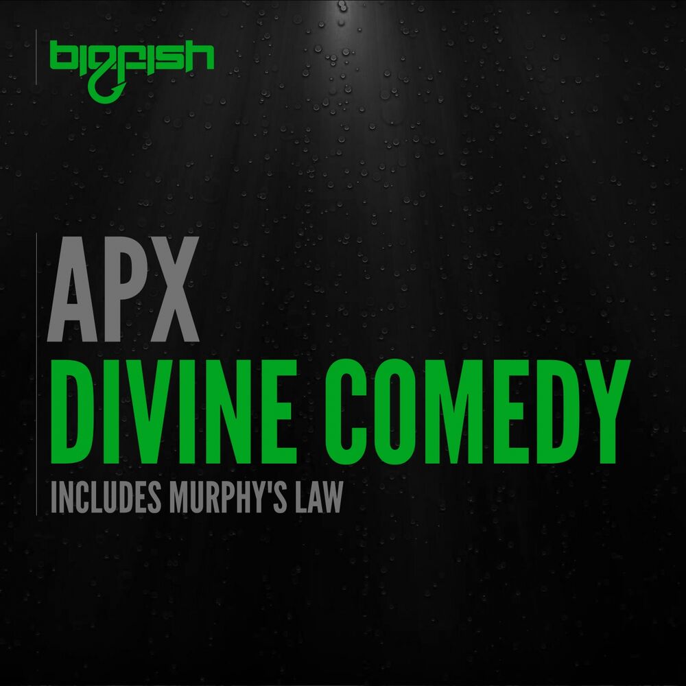 Picture of Divine Comedy