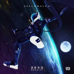 Cover of Spacewalk II: Zero Gravity