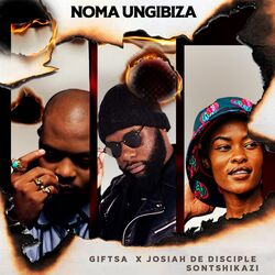 Cover of Noma Ungibiza