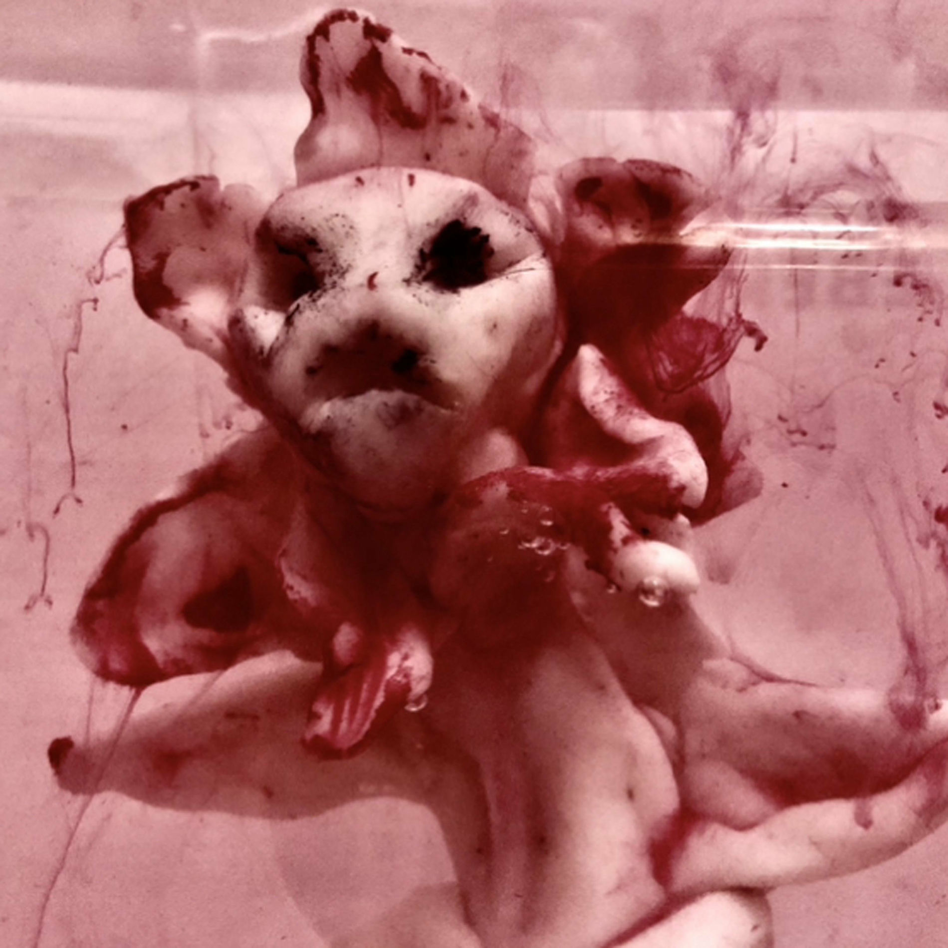 Album cover of Pervitin