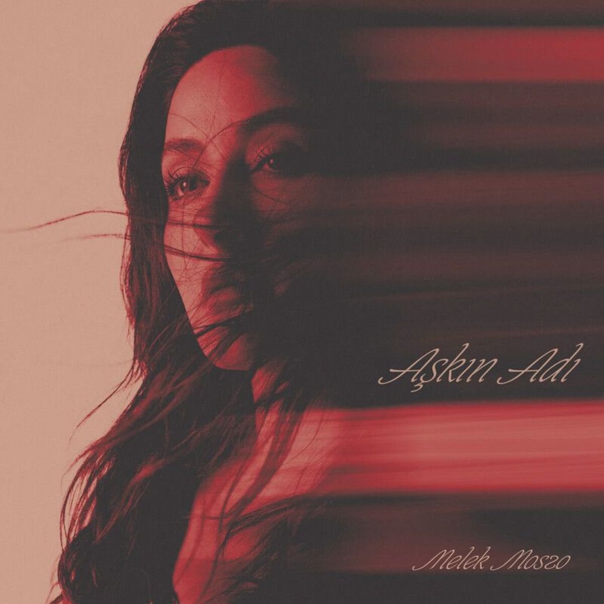 Album cover of Aşkın Adı