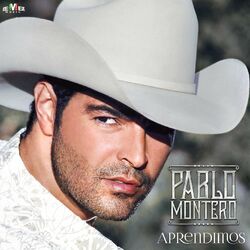 Cover of Aprendimos