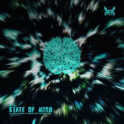 Cover of State of Mind (Som)