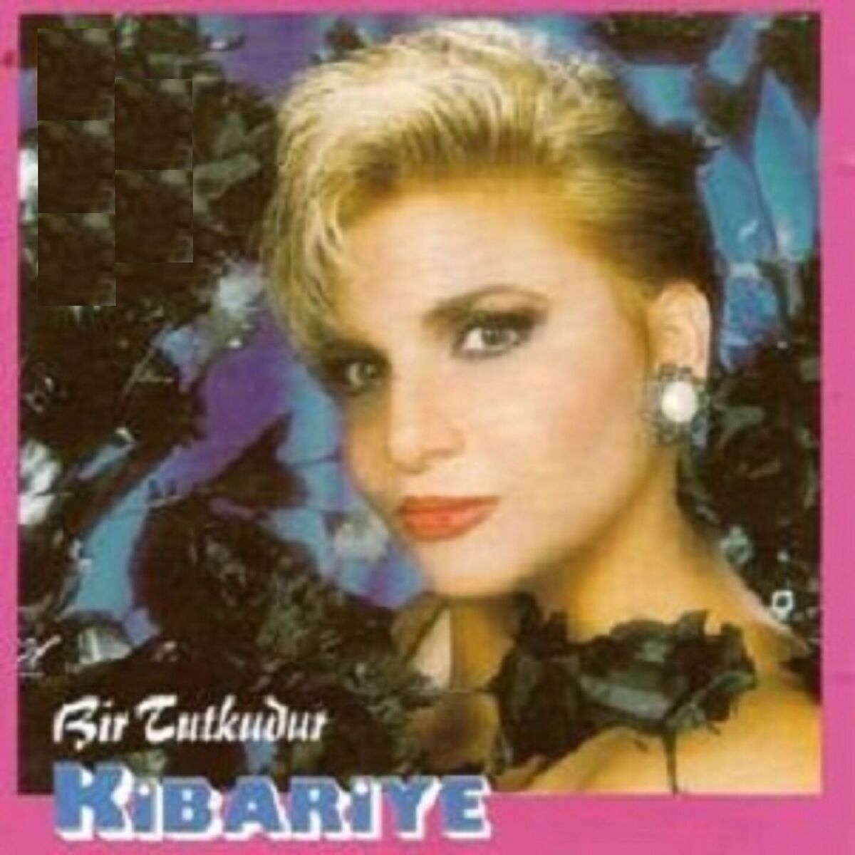 Album cover of Bir Tutkudur