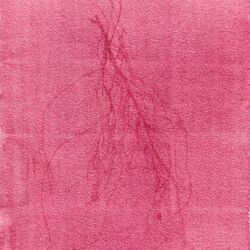 Cover of Entropía