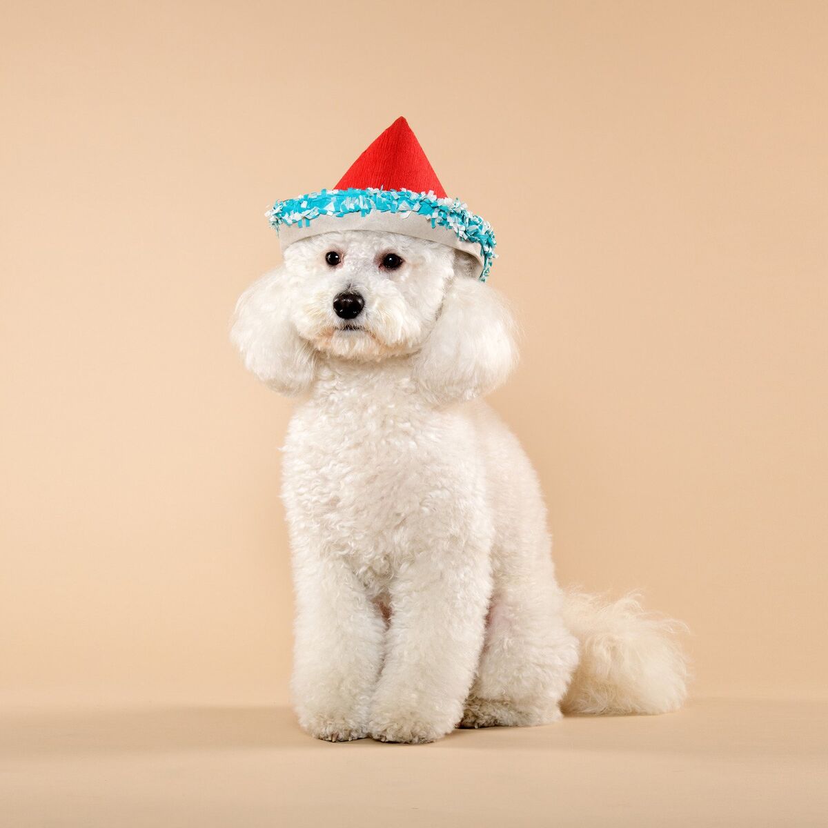 Album cover of Mookies Last Christmas (Acoustic 2020)