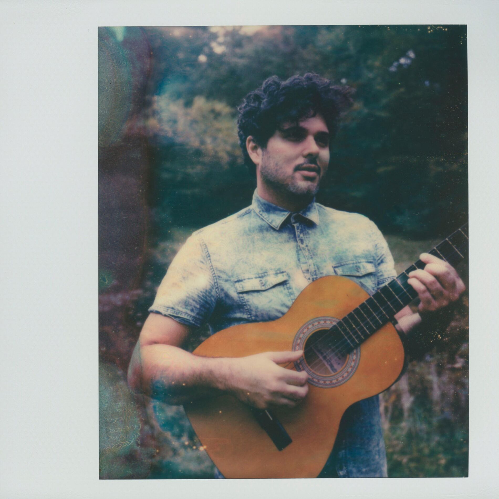 Album cover of Evergreen