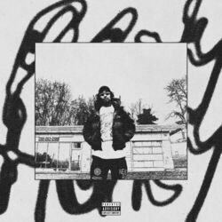 Cover of Plenty Honey
