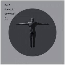 Cover of Awytok Lowlevel 01
