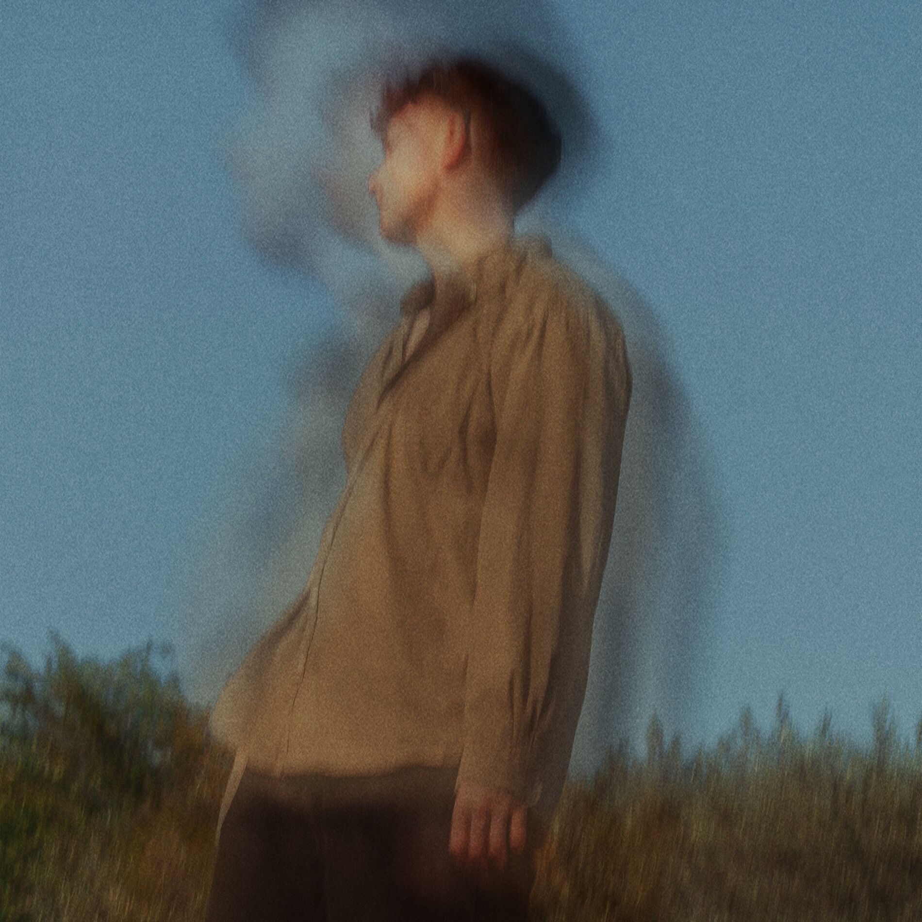 Album cover of Stray Nights