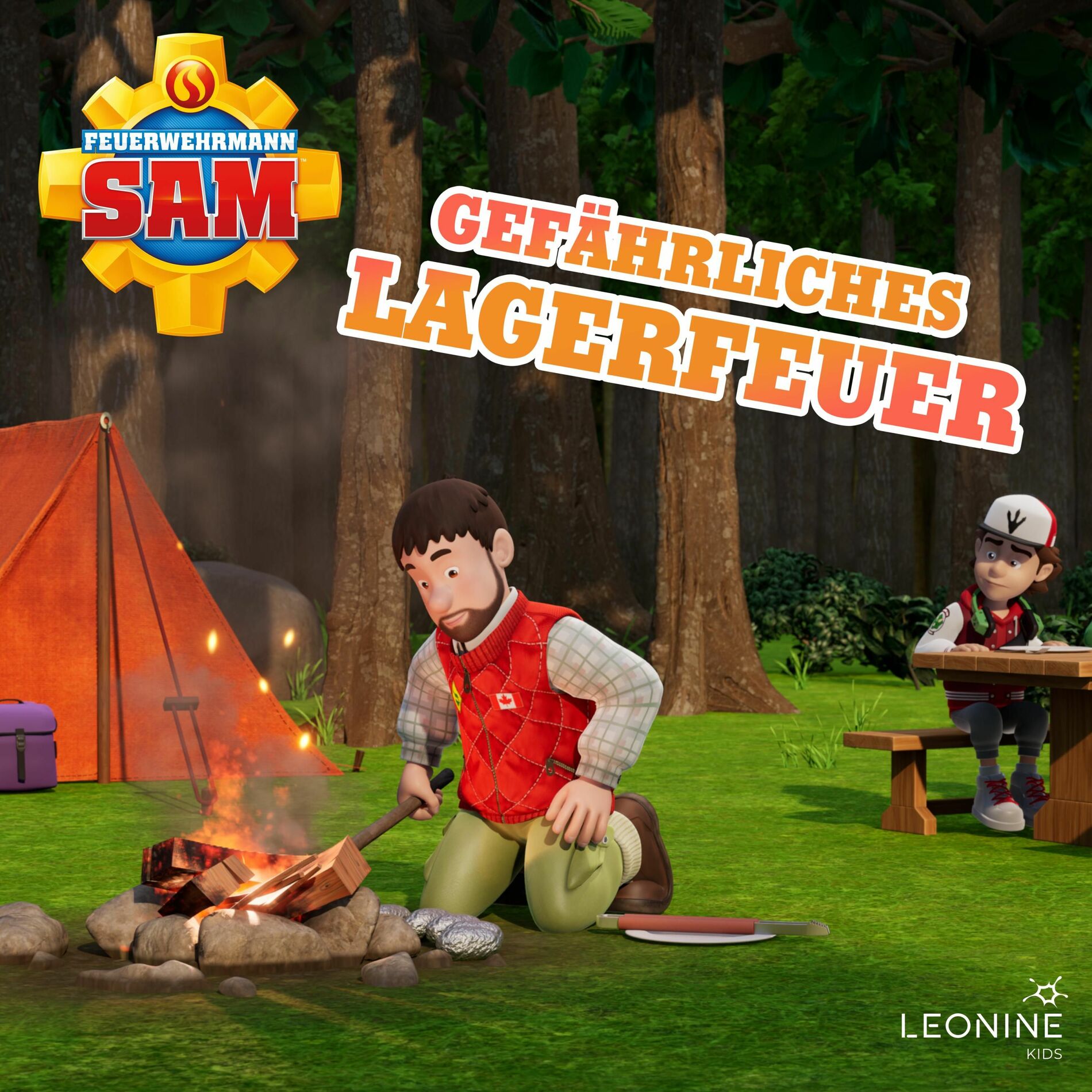 Album cover of Folge 207: Gefährliches Lagerfeuer