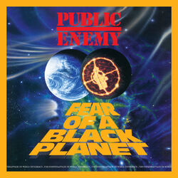 Cover of Fear Of A Black Planet (Deluxe Edition)