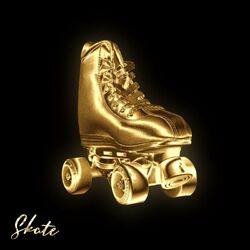 Cover of Skate