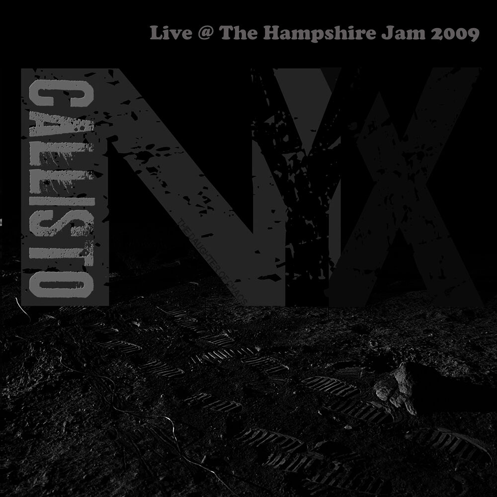 Picture of Live @ The Hampshire Jam 2009
