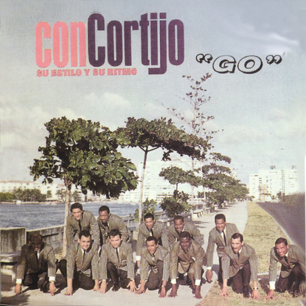 Picture of Su Estilo Y Su Ritmo