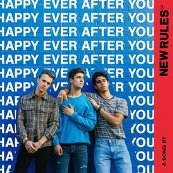 Cover of Happy Ever After You