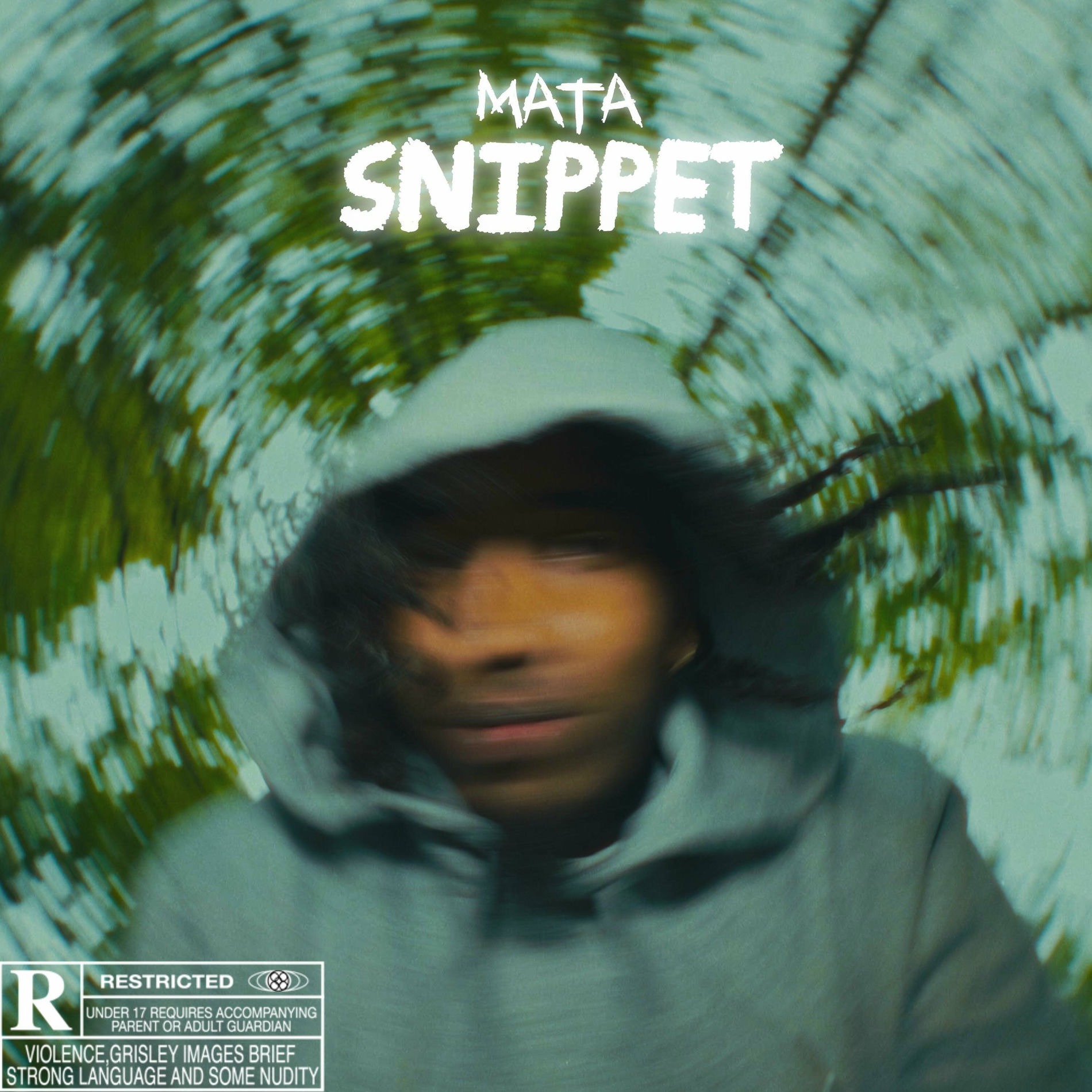 Album cover of Snippet