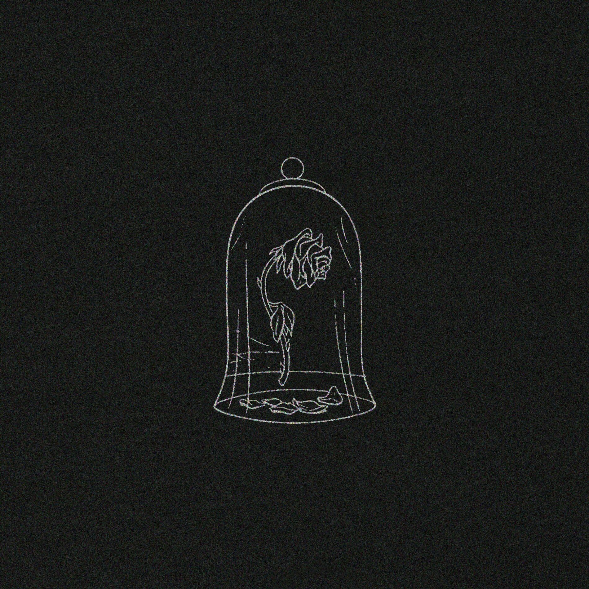 Album cover of Beauty And A Freak