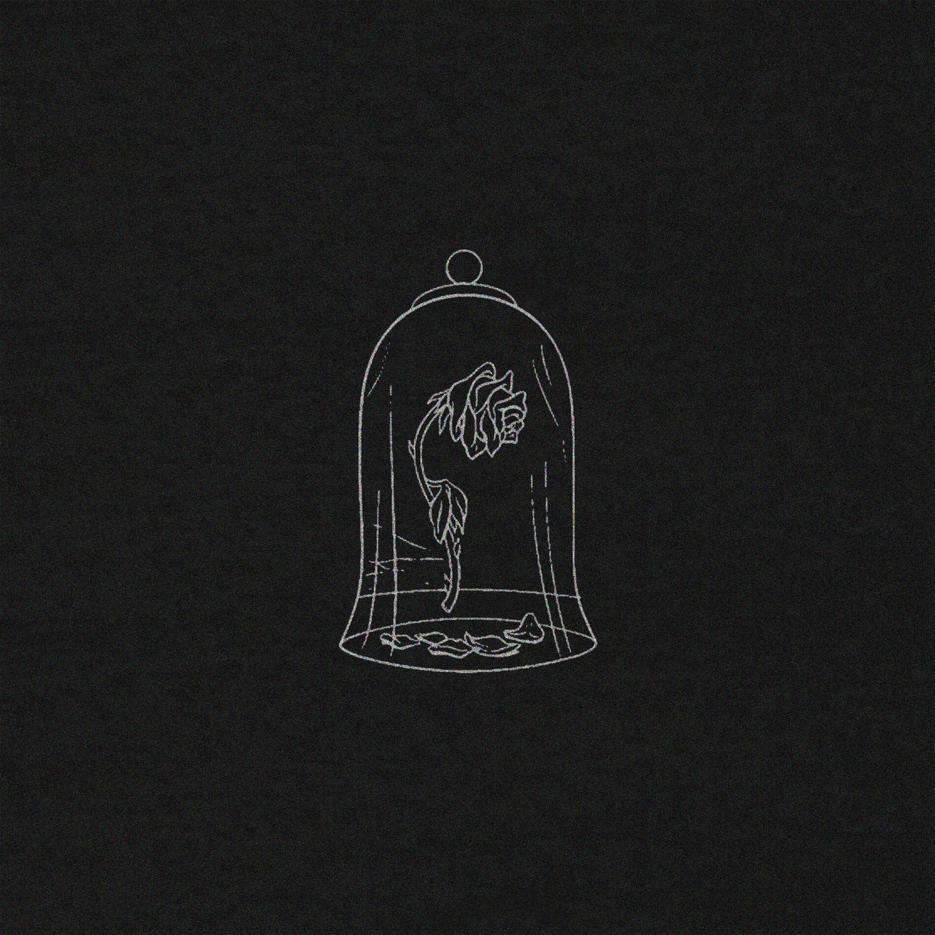 Album cover of Beauty And A Freak