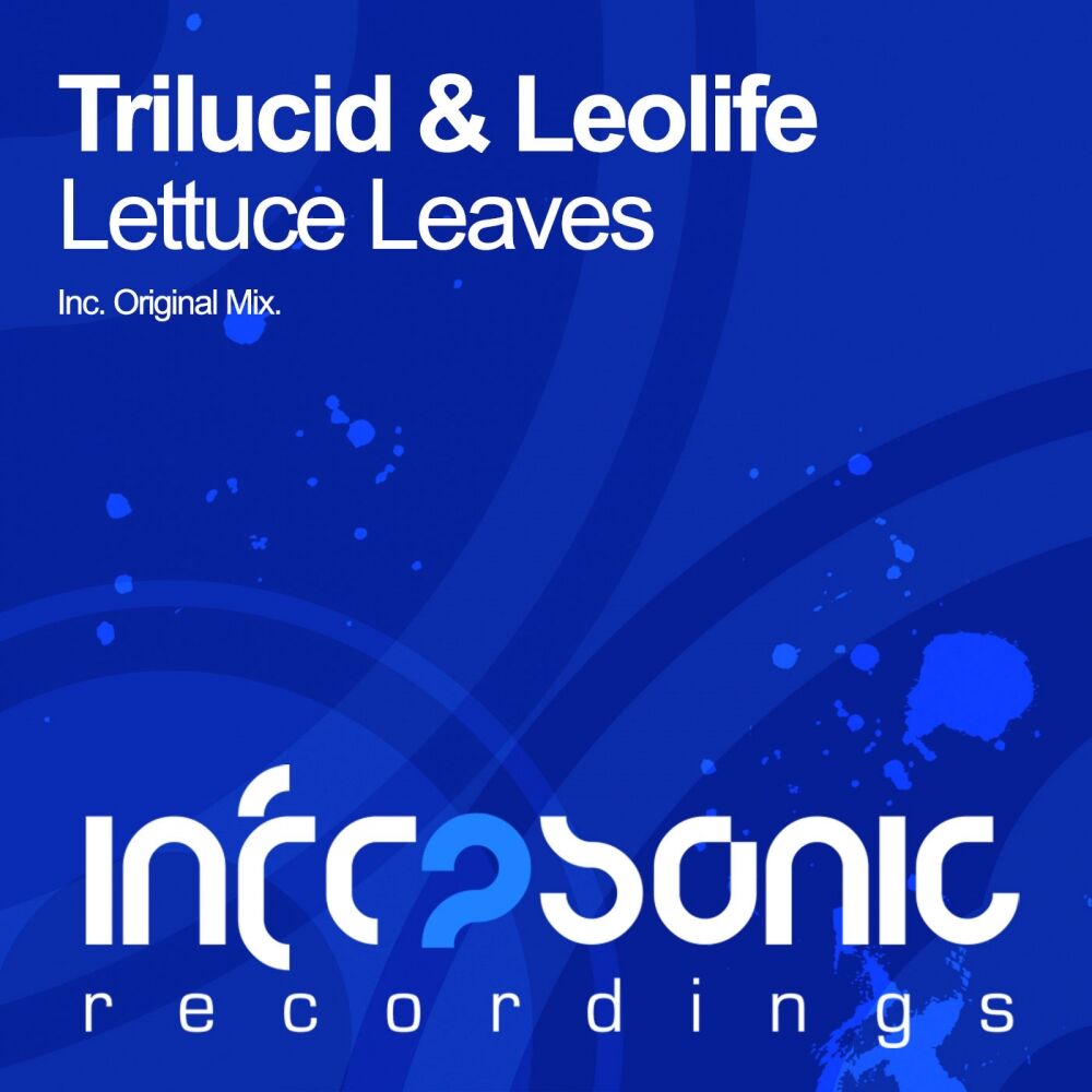 Picture of Lettuce Leaves