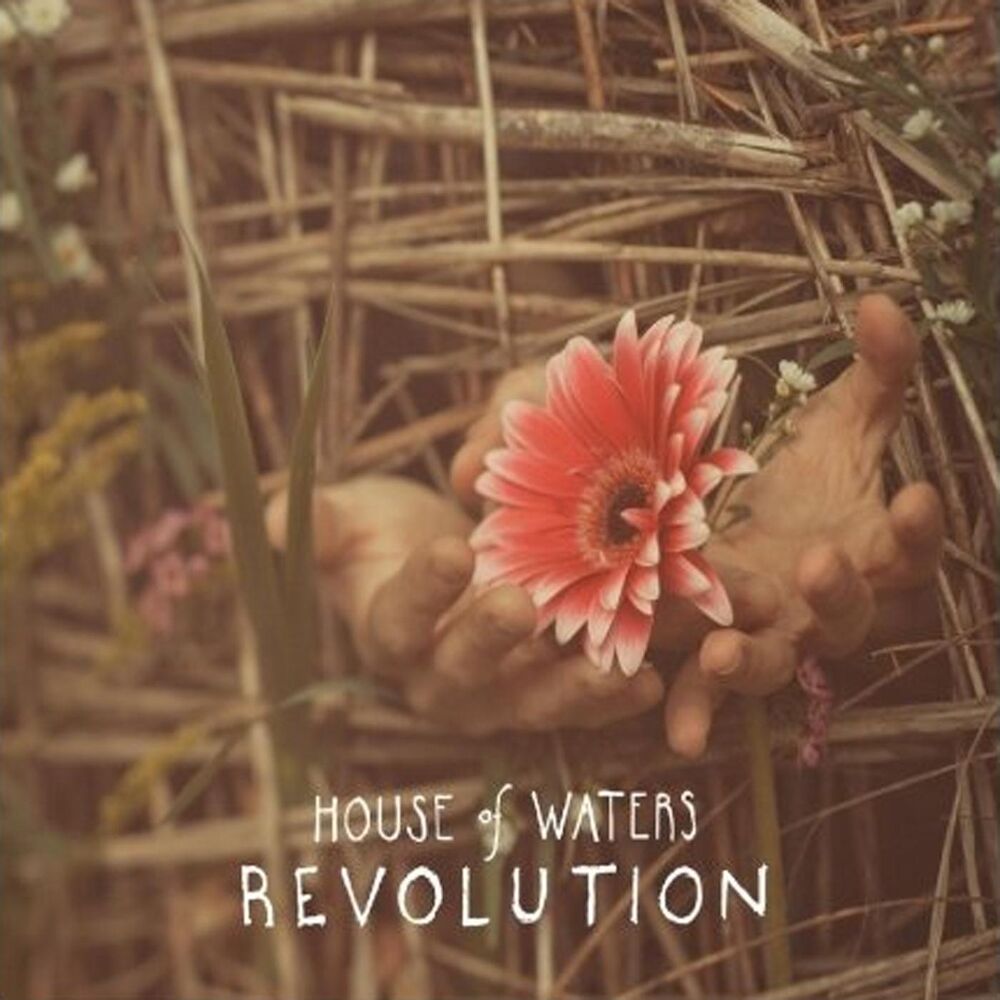 Picture of Revolution