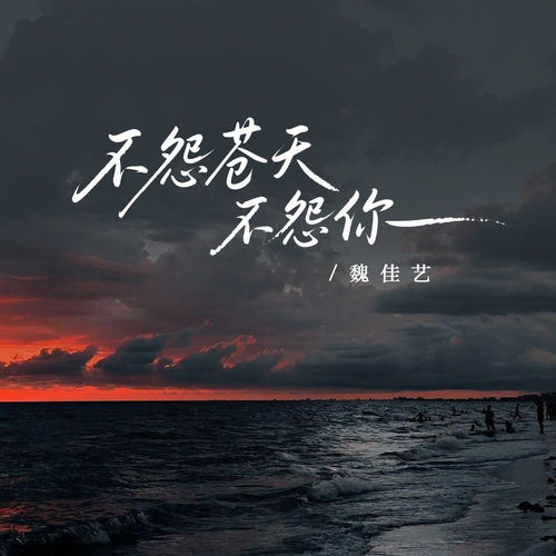 不怨苍天不怨你