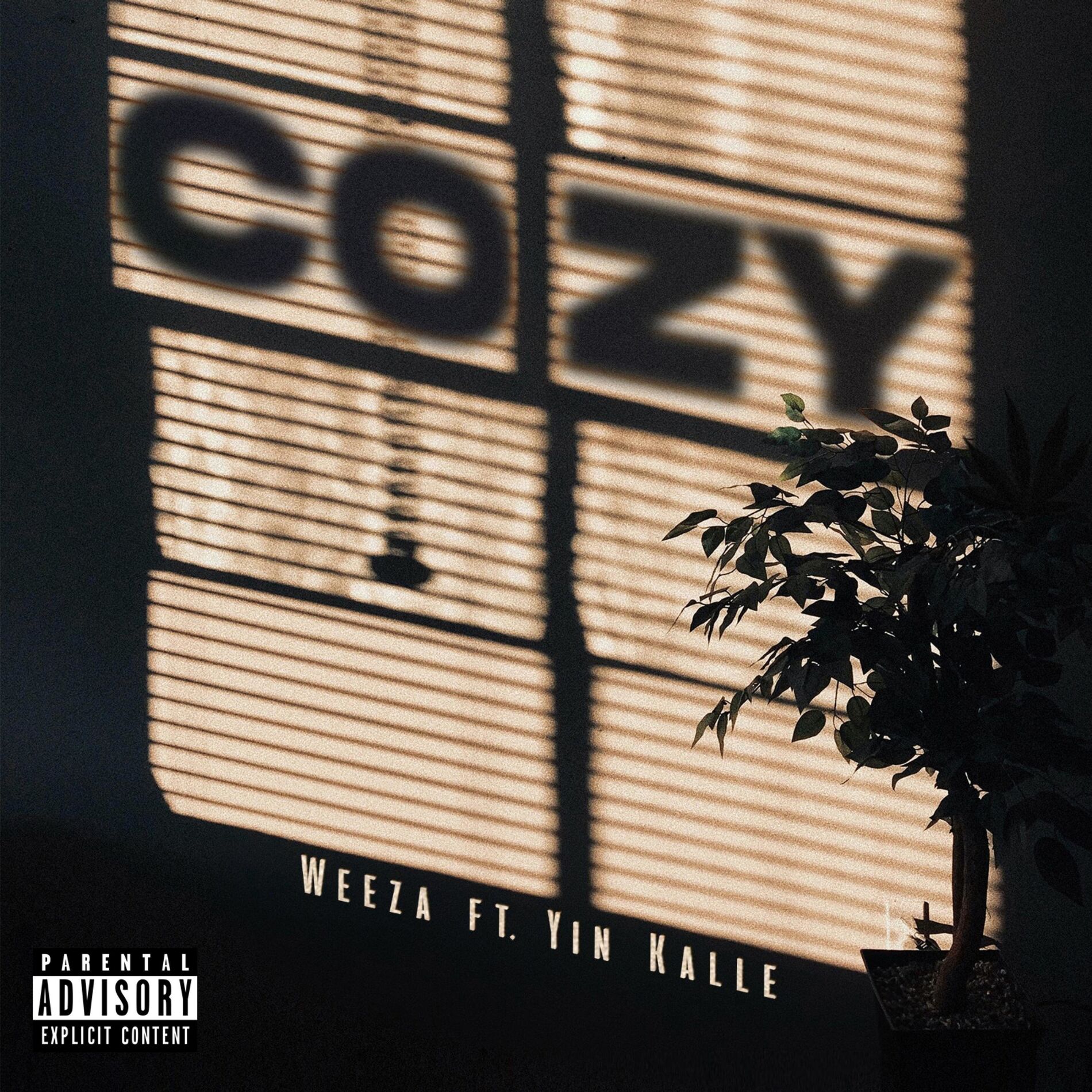 Album cover of Cozy (feat. Yin Kalle)