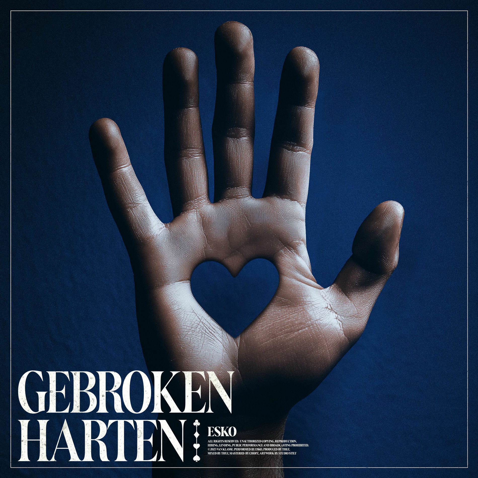 Album cover of Gebroken Harten