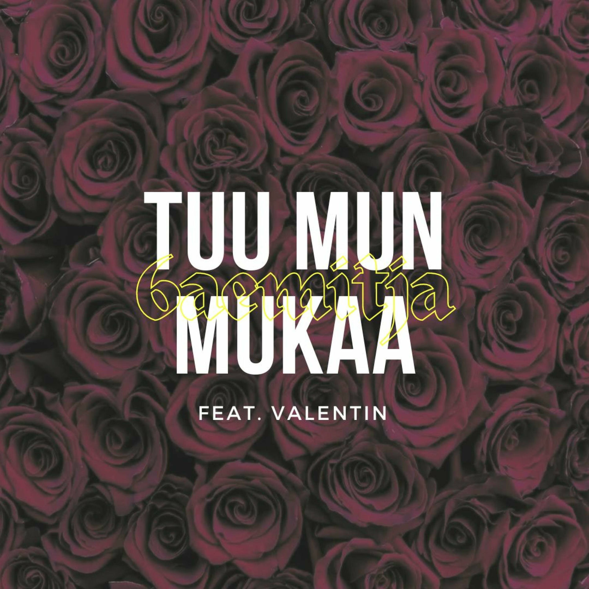 Album cover of Tuu mun mukaa (feat. Valentin)