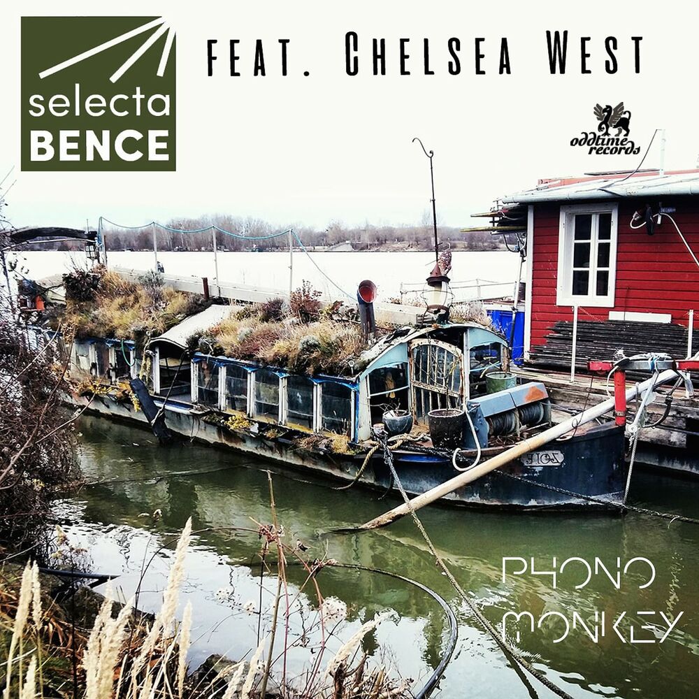 Picture of Phono Monkey (Radio Edit)