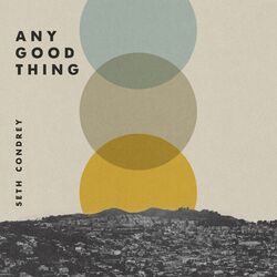 Cover of Any Good Thing