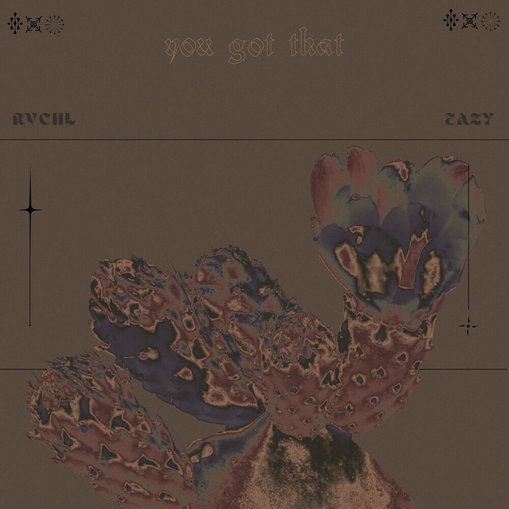 Picture of You Got That