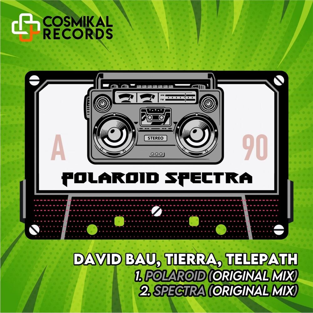 Picture of Polaroid Spectra