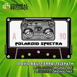 Cover of Polaroid Spectra