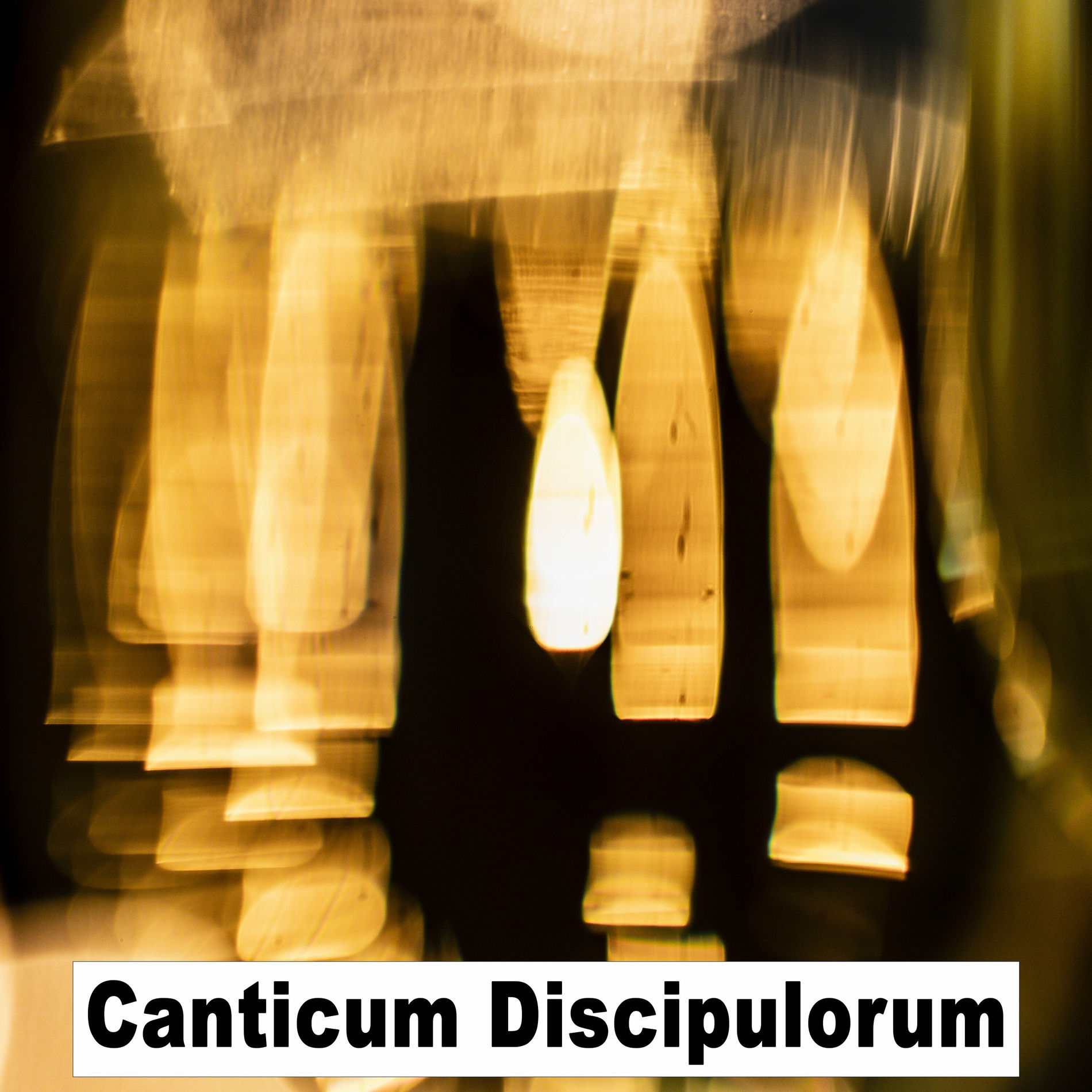 Album cover of Canticum Discipulorum