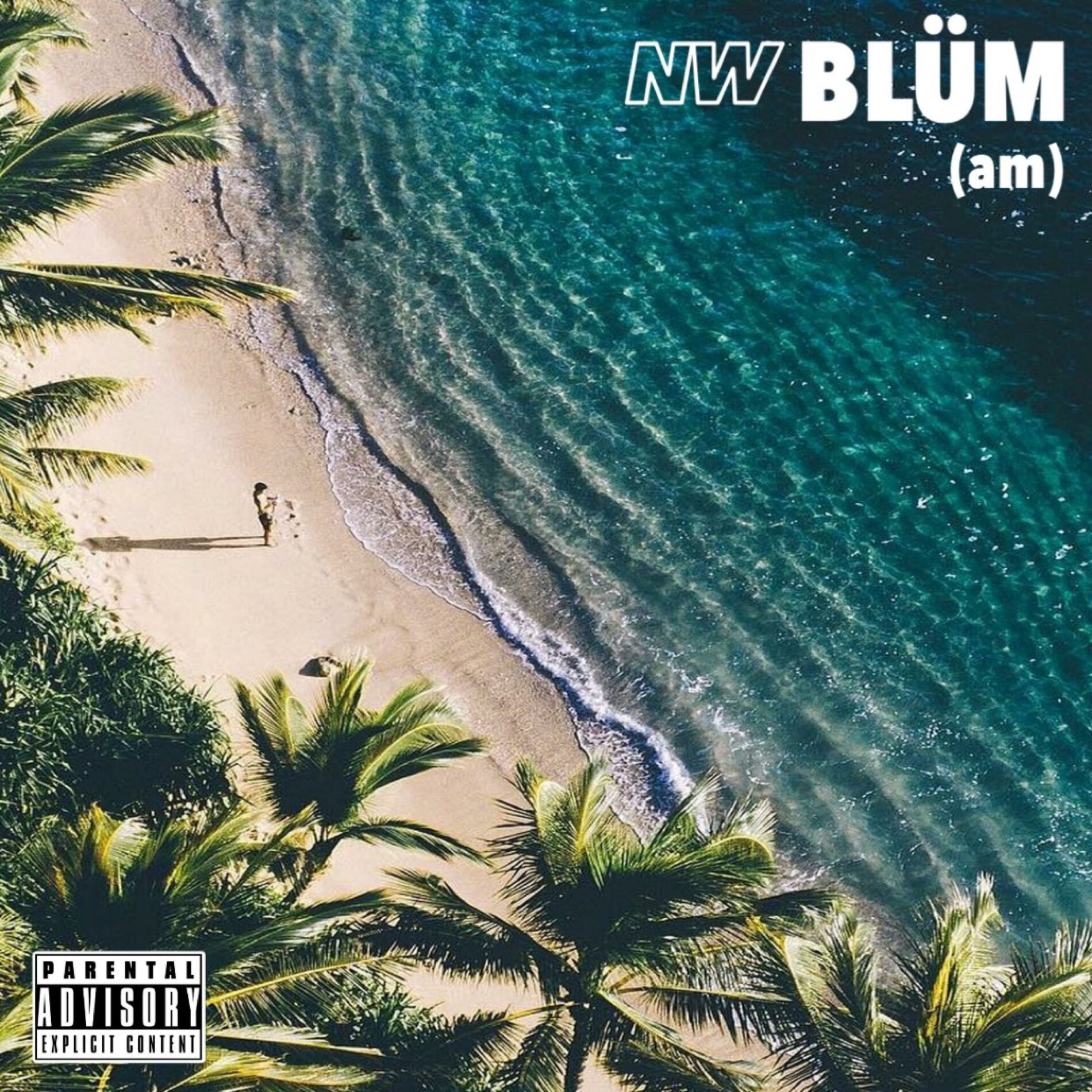 Album cover of BLÜM (am)