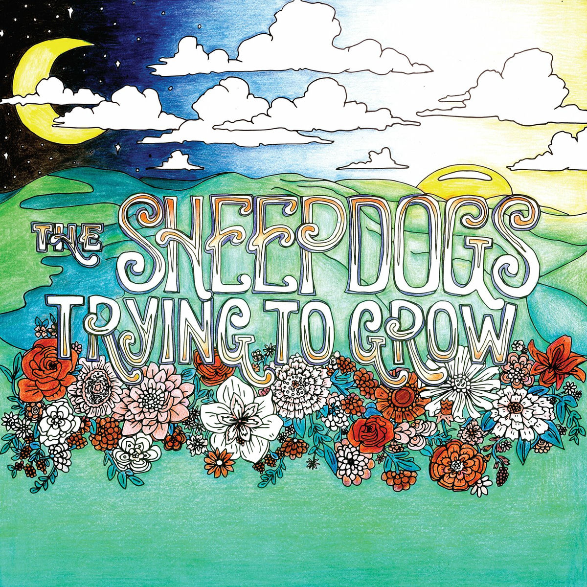 Album cover of Shine On