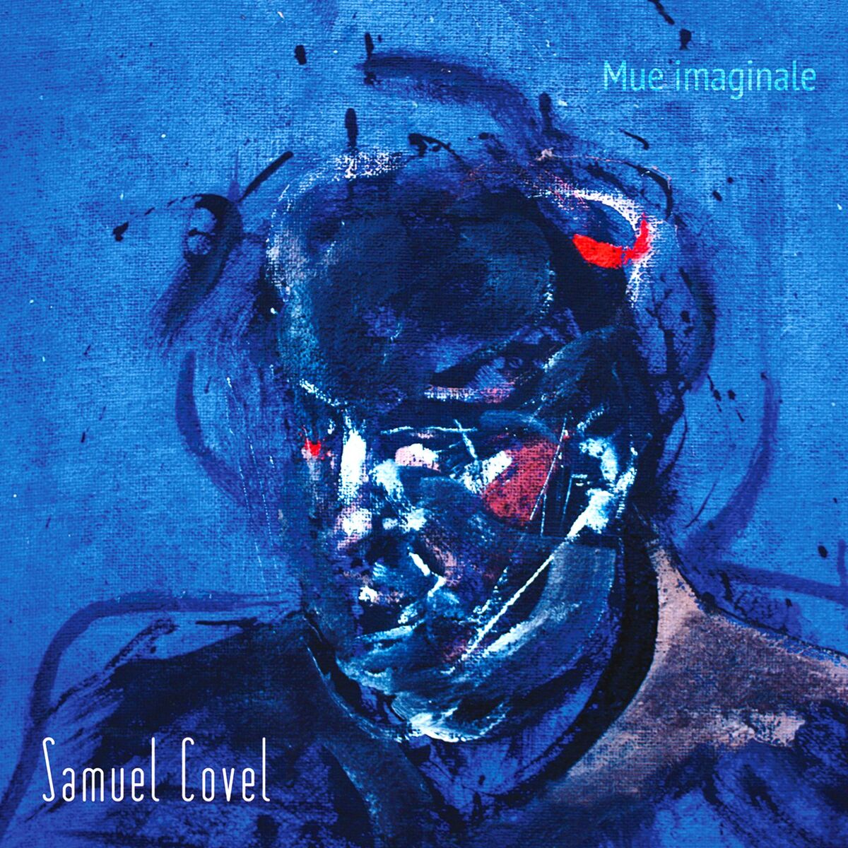 Album cover of Mue imaginale