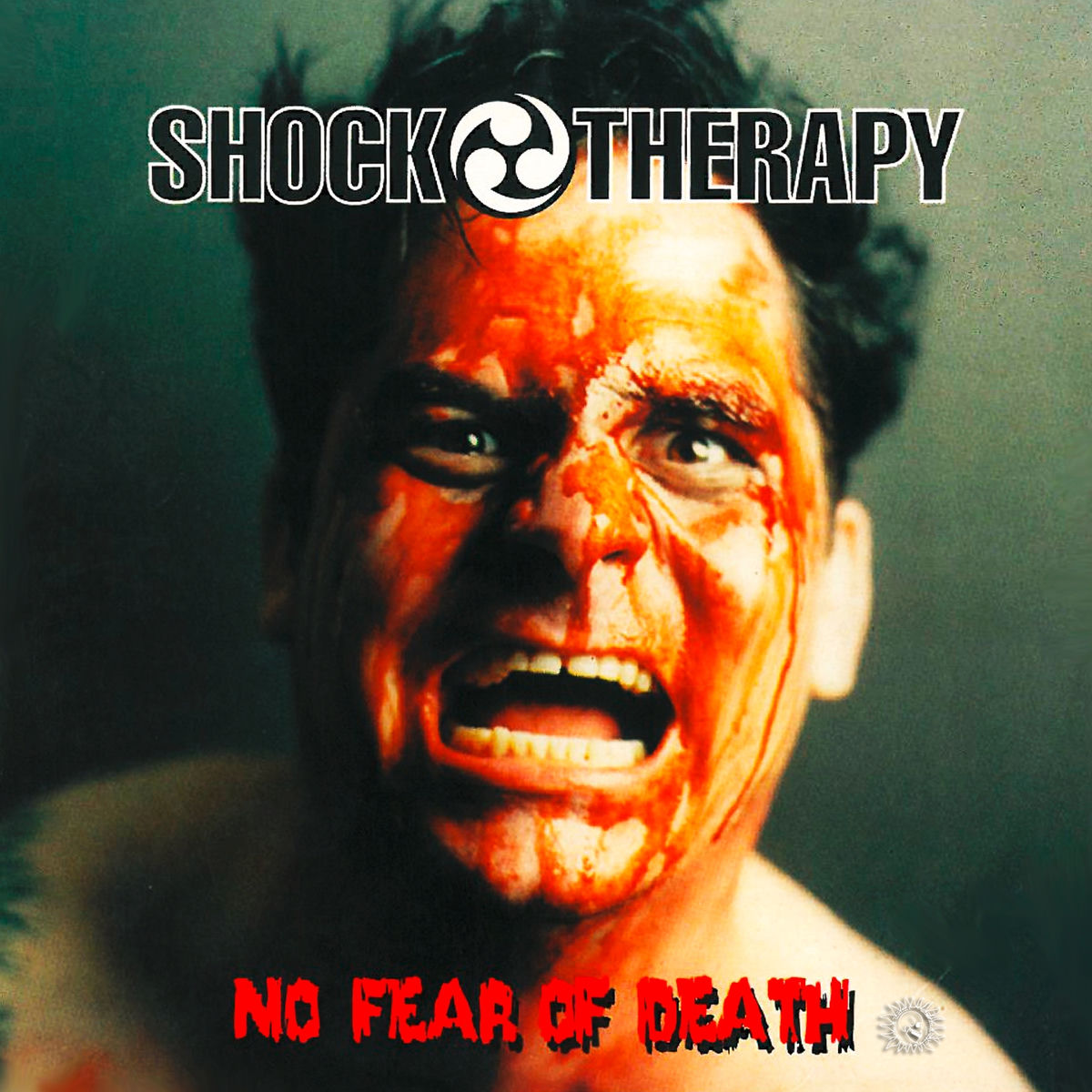Album cover of No Fear of Death