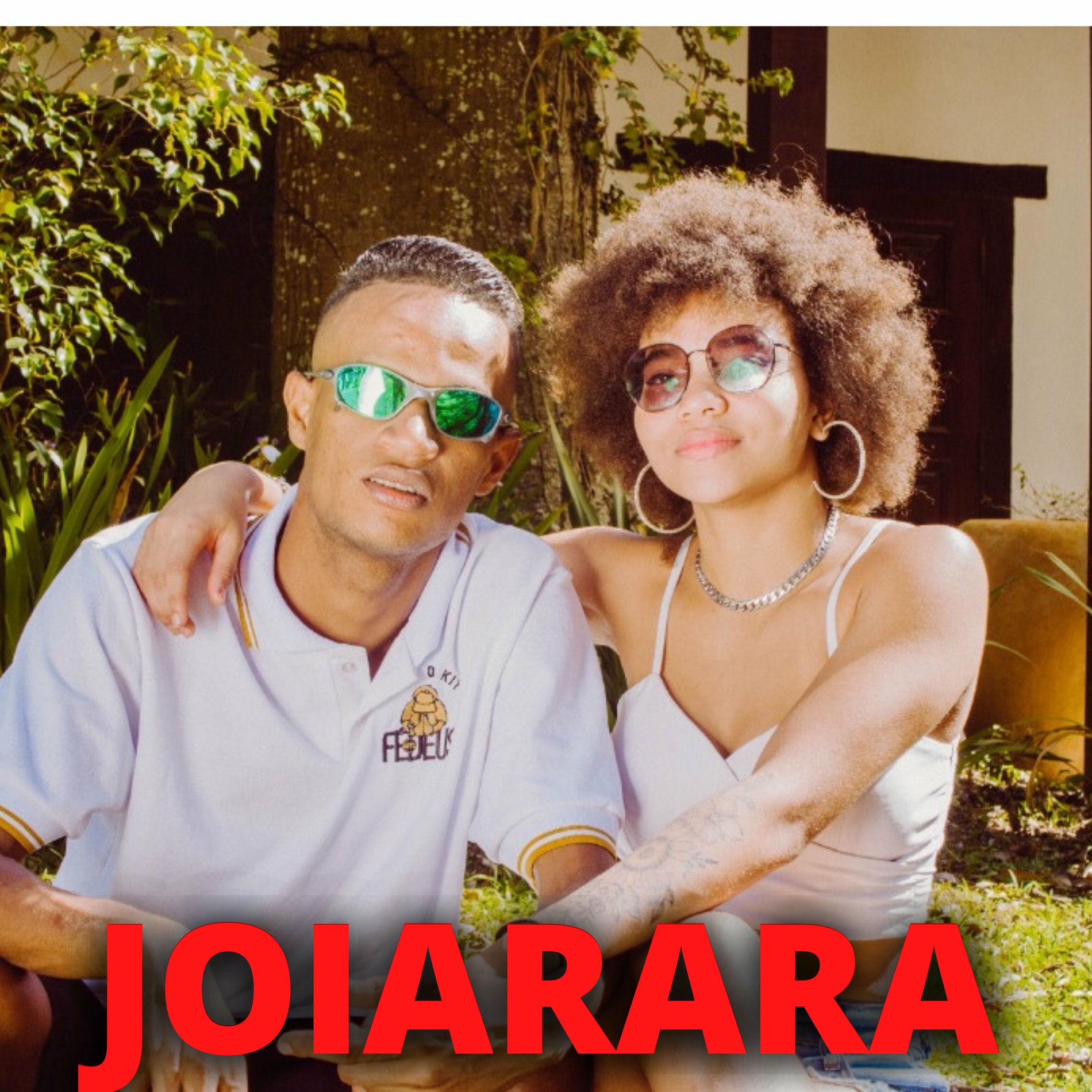 Album cover of Joiarara