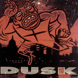 Cover of Dusk