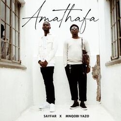 Cover of Amathafa