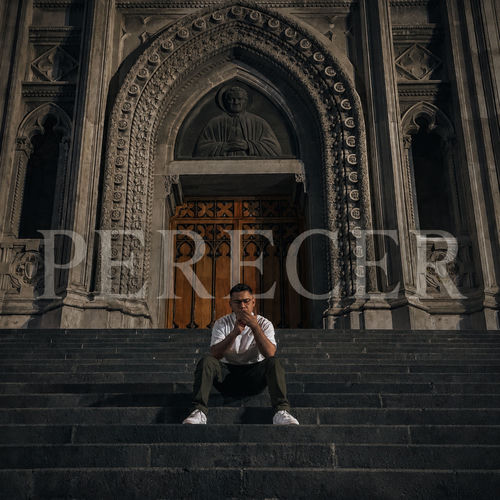 PERECER