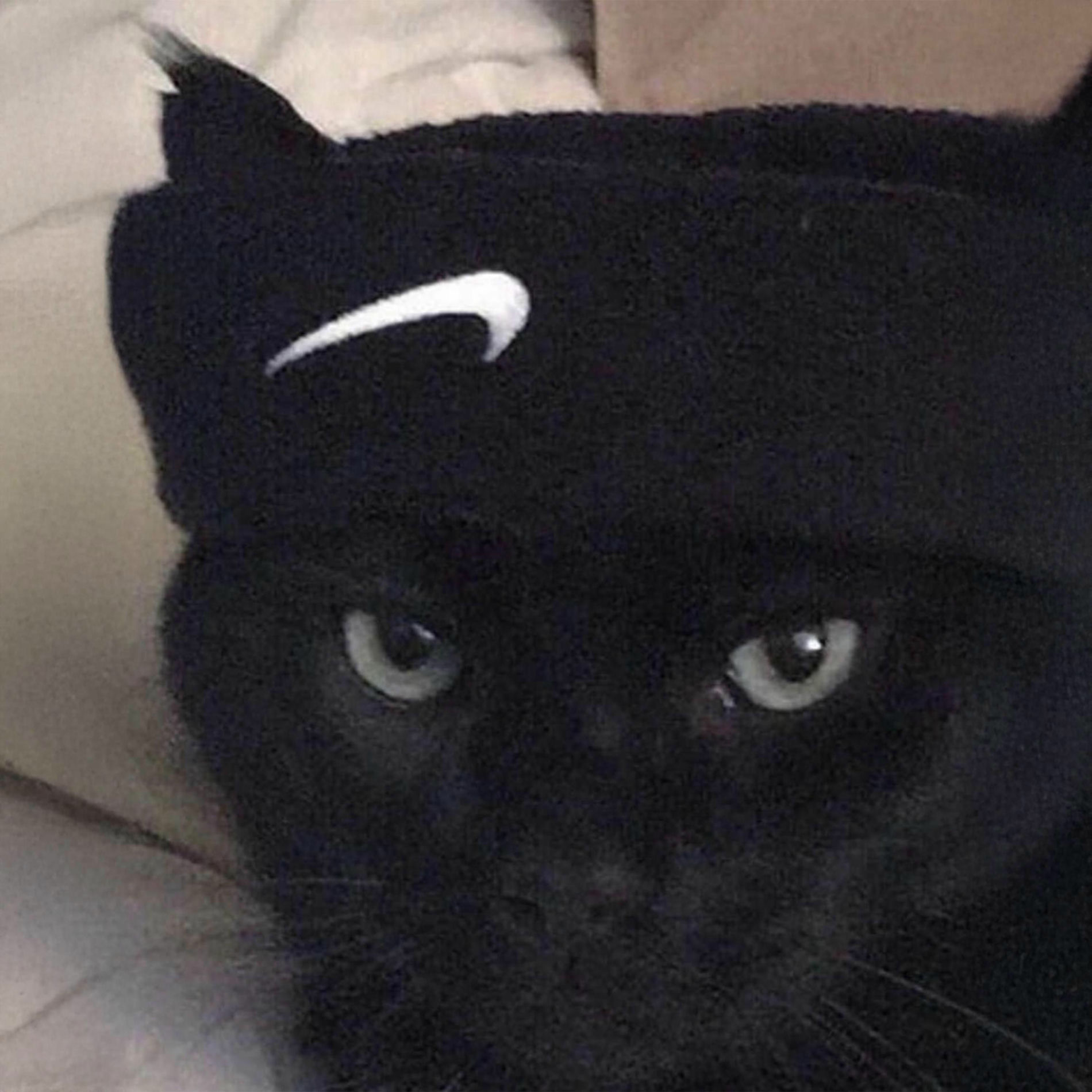 Album cover of kalbim kırık ama kaslar sağlam