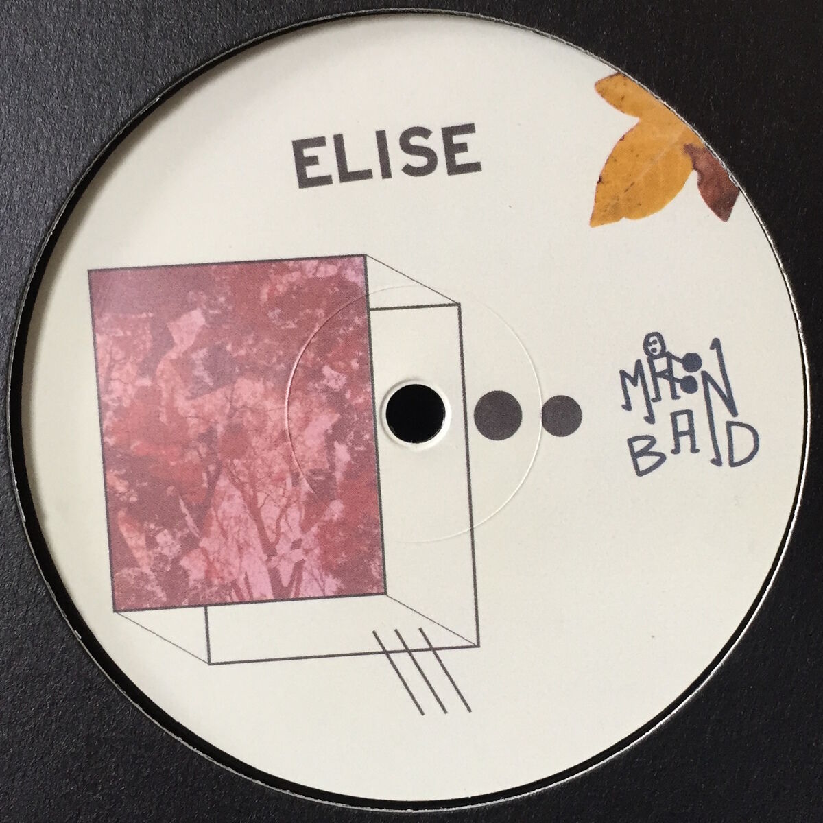 Album cover of Leaves From Yoyogi
