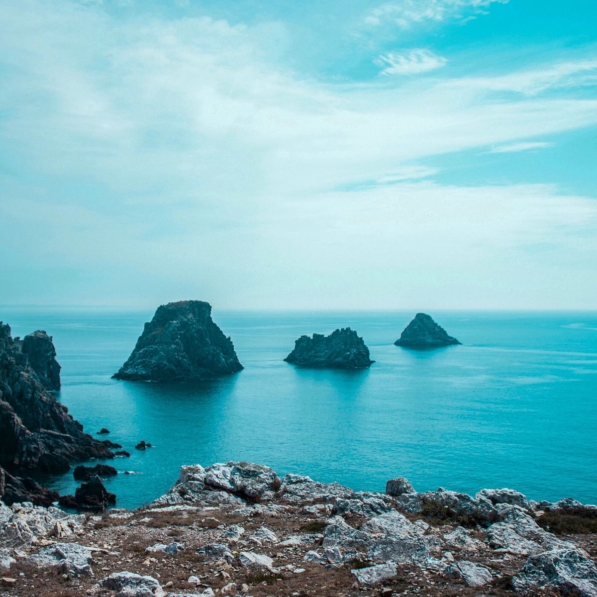 Album cover of ! ! Aquatic Odyssey ! !