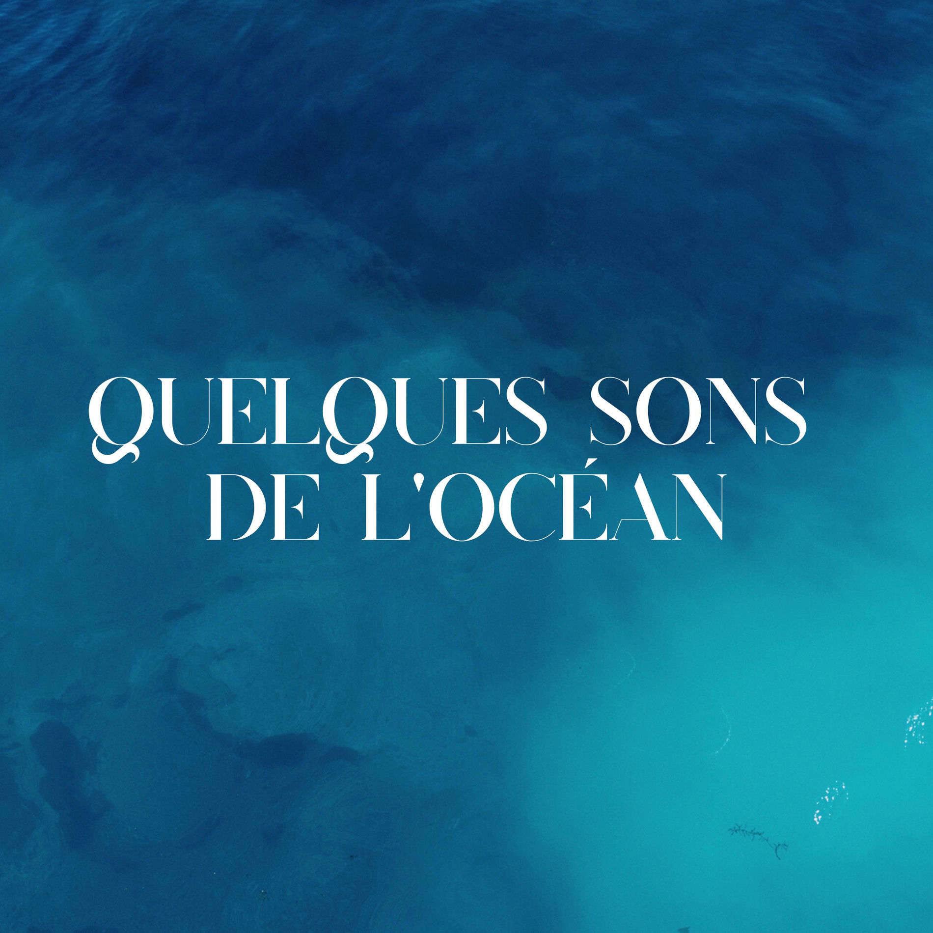 Album cover of Quelques sons de l'océan